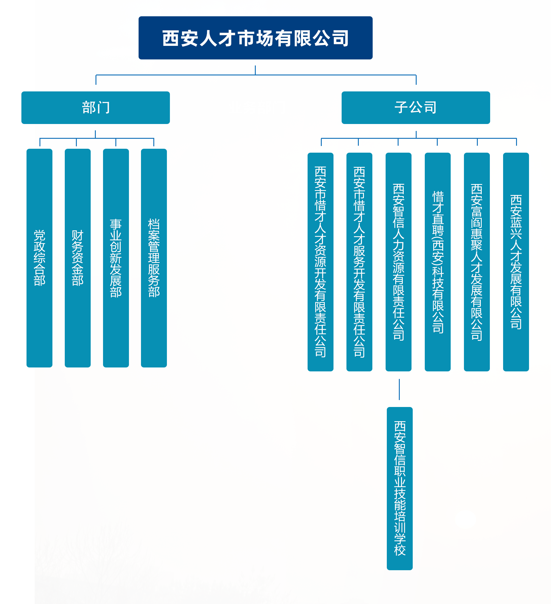 組織架構20250909-54x26cm.png